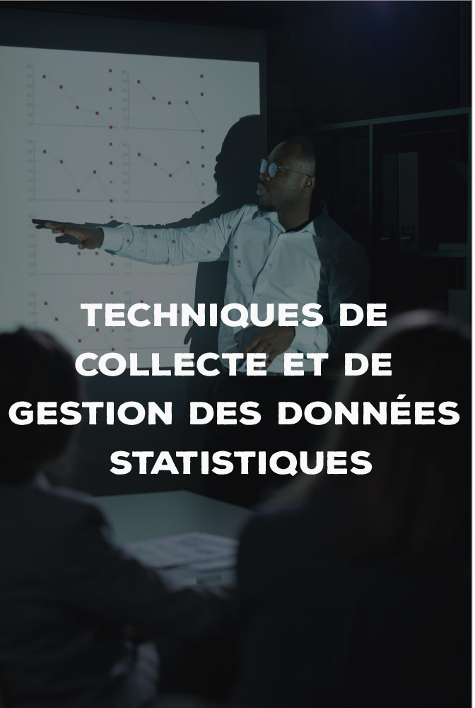 Techniques de collecte et de gestion des données statistiques 